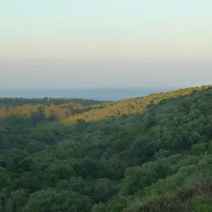 Apartamento Alcaidesa Golf&nature